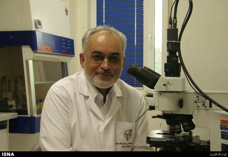 royan reyis