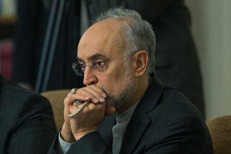 1459926996428_amin khosroshahi (16 of 17)-th3