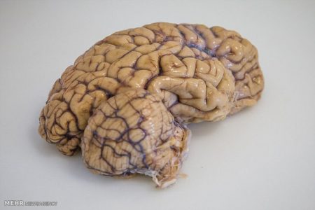 2608652