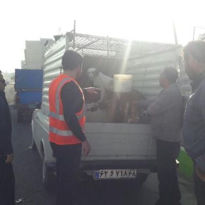 4N7A7375 (Copy)