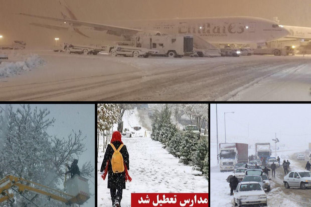 4N7A7375 (Copy)