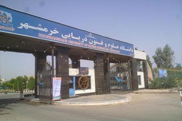 7 (Copy)