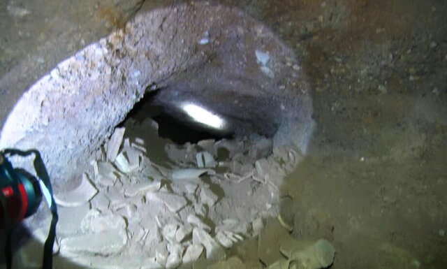57813014